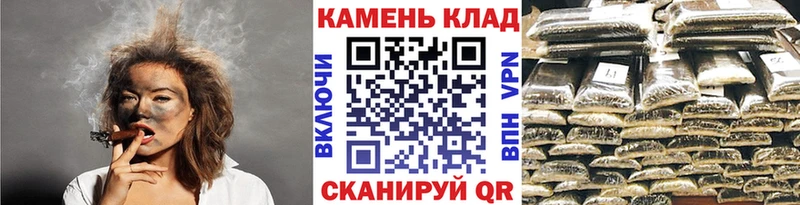 ГАШ Premium  Лебедянь 
