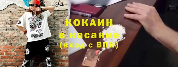 соль ск Тайга
