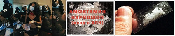шишки Балахна