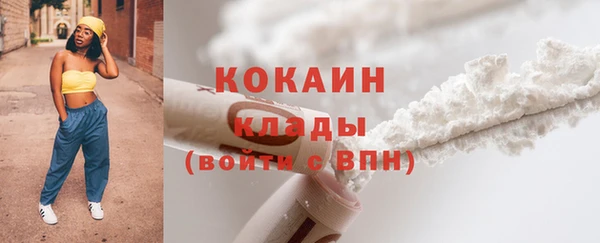 шишки Балахна