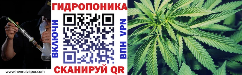 как найти закладки  Лебедянь  Каннабис Amnesia 